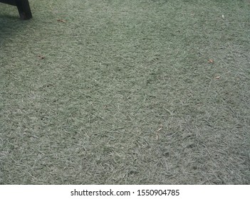 Artificial Grass In The Park