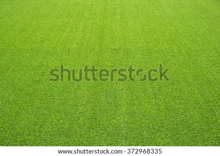 artificial grass perspective view