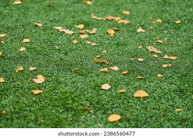 Artificial grass, sports field cover with marking. Artificial turf used in different sports: football, soccer, rugby, tennis, baseball, american football, golf, field hockey and other. - Powered by Shutterstock