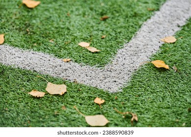 Artificial grass, sports field cover with marking. Artificial turf used in different sports: football, soccer, rugby, tennis, baseball, american football, golf, field hockey and other. - Powered by Shutterstock