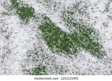 artificial grass turf under cleared snow in winter - Shutterstock ID 2252131903