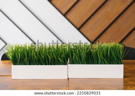 Artificial grass in a white rectangular pot on the desk in the office