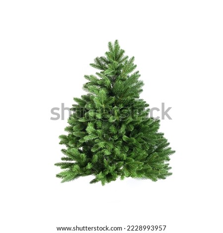 Artificial green Christmas tree without decor isolated on white background. Xmas holiday. Reusable cast Christmas tree.