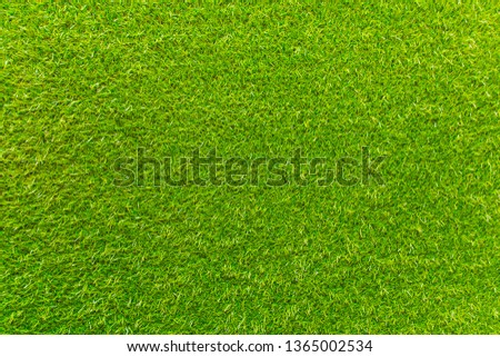 artificial green grass. The background is green.