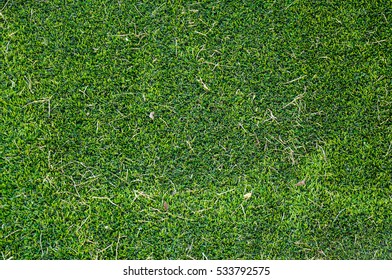 artificial  green grass and dry grass for background