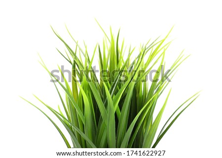 Similar – Image, Stock Photo The leeks are also green at Easter.