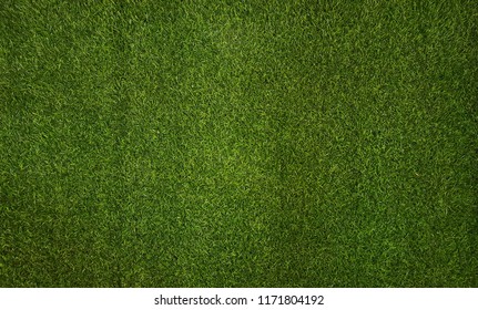 Artificial green grass texture background