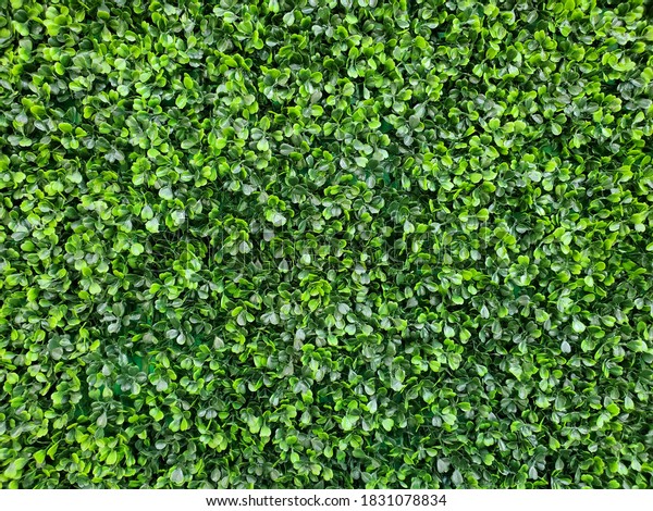 118,752 Artificial Leafs Images, Stock Photos & Vectors | Shutterstock