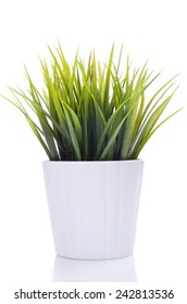 Artificial Green Plant Inside Potted, Isolated By A White Background