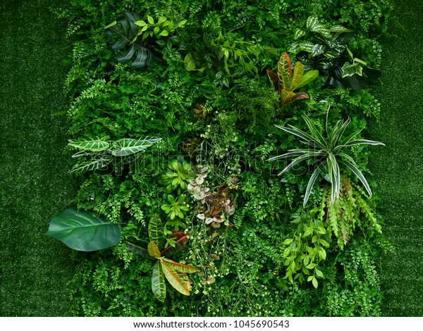 artificial green plant\
wall
