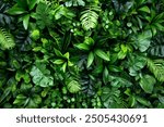 Artificial Green Plant Wall Exhibit, a variety of artificial green plants arranged in a dense, lush wall display