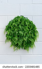 Artificial Green Shrubbery Hung On Brick Wall