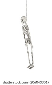 Artificial Human Skeleton Hanging By The Neck On Thin Black Rope, Profile View, Isolated On White Background