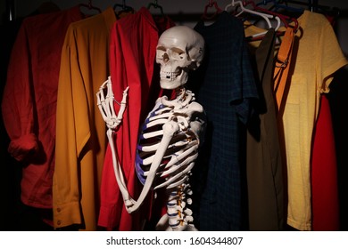 Wardrobe Model Images Stock Photos Vectors Shutterstock