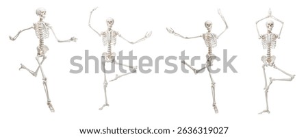 Artificial human skeleton model in different poses isolated on white, set