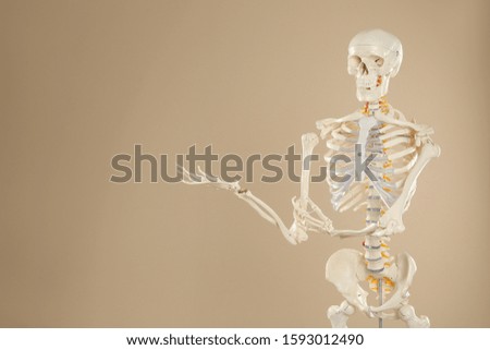 Artificial human skeleton model on beige background. Space for text