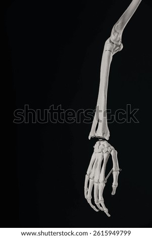 Artificial human skeleton model on black background, closeup