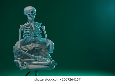 Artificial human skeleton model
