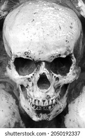 Artificial human skull close-up as postcard with skull or background with skull or photo with skull for background for postcard for congratulations to Halloween