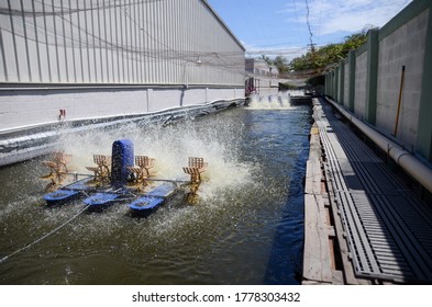Artificial and industrial tilapia fish farming in Haiti made with water pools for food local consumption. Oxygen water injection on the pool for fish production. 