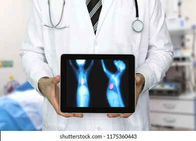 Artificial Intelligence In Smart Healthcare Hospital Technology Concept. Veterinarian Doctor Use AI Biomedical Algorithm Detect Heart Disease , Cancer Cell In Dog With Digital Filmless X-Rays Process.