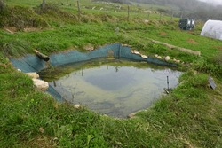 Artificial Lake In The Garden. Pond For Rainwater Harvesting And Irrigation Of Crops. Artificial Pond