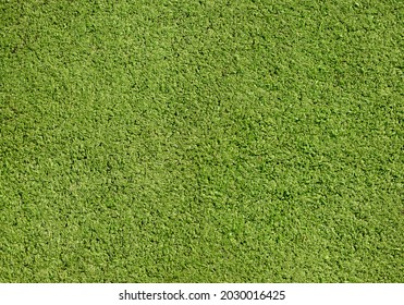 Artificial Lawn, Green Grass Field Pitch Surface Background Texture, Top View High Resolution Fake Grass Floor Backdrop, Shot From Above. Sports Soccer Football Stadium Pitch Outdoors, Turf, Nobody