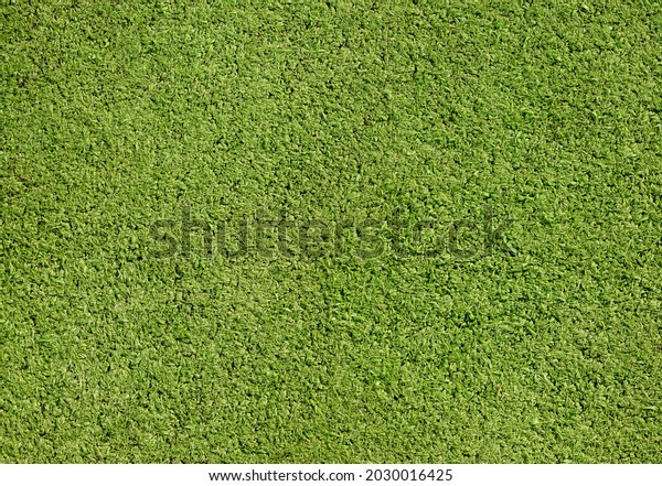 Artificial lawn, green grass field pitch surface\
background texture, top view high resolution fake grass floor\
backdrop, shot from above. Sports soccer football stadium pitch\
outdoors, turf,\
nobody