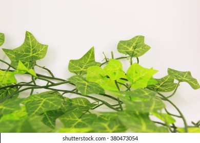  artificial leaves of ivy on white background - Shutterstock ID 380473054