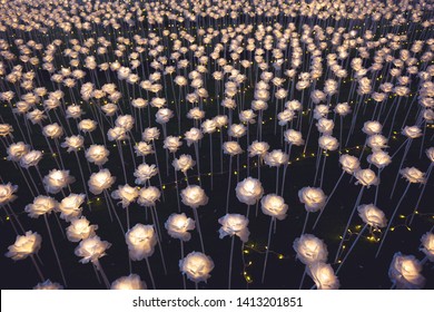 Artificial light flowers, Light rose flowers illuminated at night .