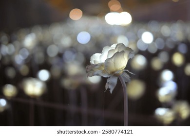 Artificial Light White Roses Seoul South Korea - Powered by Shutterstock - Get 15% off with code: PIKWIZARD15