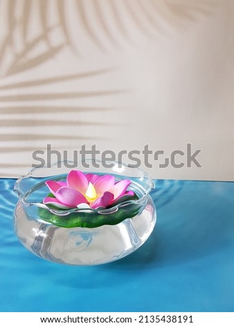 artificial lotus flower in the bowl with water. blue and white background.