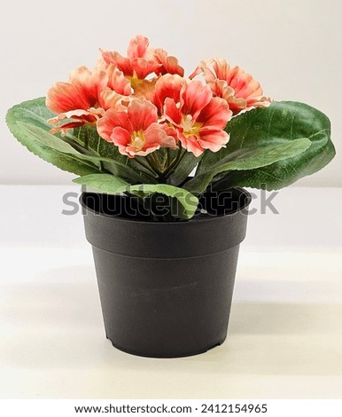 Artificial orange flowers with green leaves in a black plastic pot