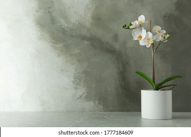 Artificial Orchid Plant In Flower Pot On Light Grey Marble Table. Space For Text