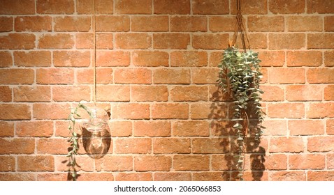 Artificial Plants Ivy Hanging Decoration On Brick Wall With Lighting At Night, Free Copy Space.