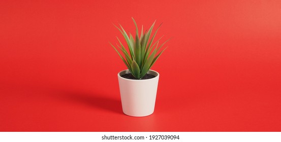 Artificial Plants Or Plastic Or Fake Tree On Red Background.no People