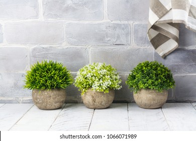 Artificial Plants In Stone Pots. Home Interior Decor. Copy Space