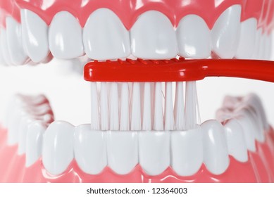 Artificial plastic teeth with a tooth brush