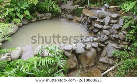 an artificial pond with murky water, complementing the beauty of the garden
