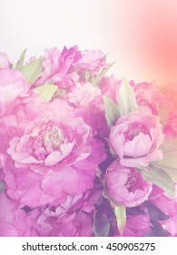 Artificial rose pastel tone