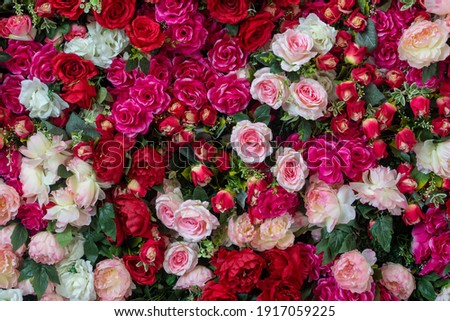 artificial roses wall for background or textures