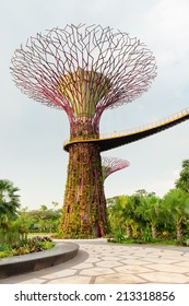 The Artificial Supertree As A Vertical Garden At Gardens By The Bay, Singapore. 