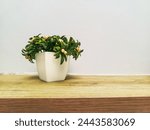 Artificial tree in a white plastic pot placed on a wooden wall shelf