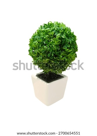 Artificial tree in white pot isolate on white background.