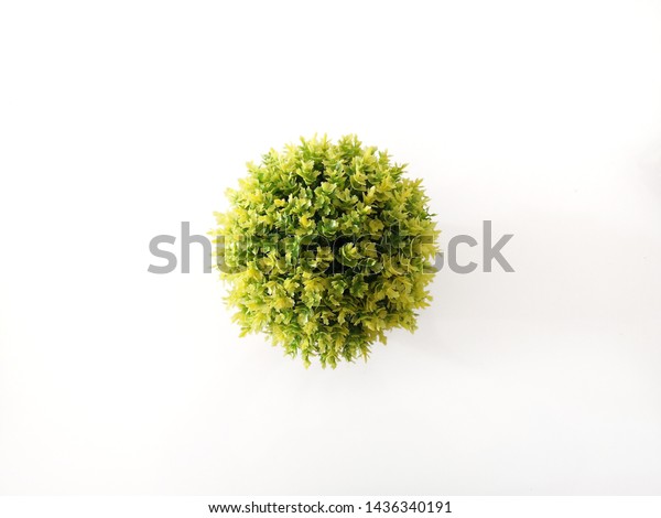 Artificial Trees White Background Conceptual Image Stock Photo