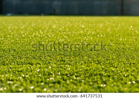 Artificial turf with sunshine