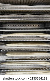 Artisan Baker And Pastry Chef. Detail Of Bread Proofing Chamber In A Bakery