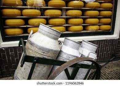 Artisan Edam Cheese, Detail Of Dutch Cheese Making