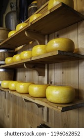 Artisan Edam Cheese, Detail Of Dutch Cheese Making