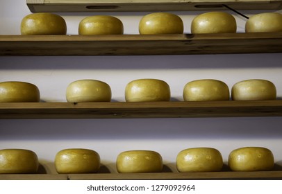 Artisan Edam Cheese, Detail Of Dutch Cheese Making